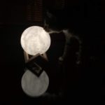 Moon Lamp photo review